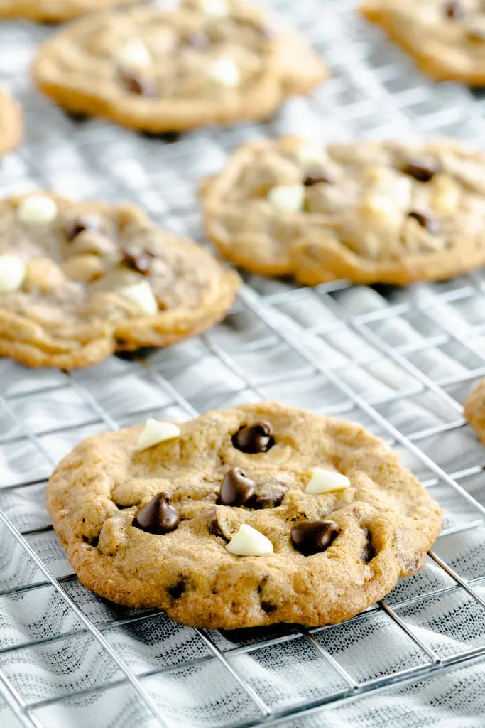 Mocha cookies with semi-sweet and white chocolate chips on a cooling rack.