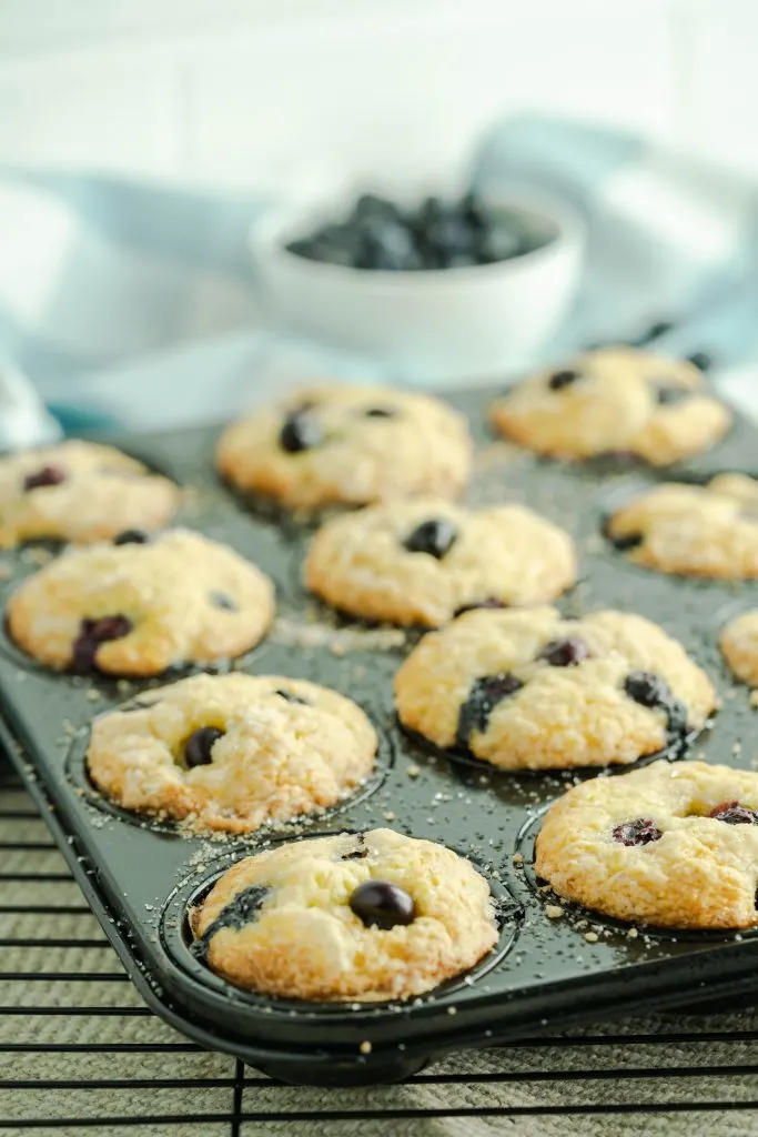 Cake Mix Blueberry Muffins in a baking pan with a bowl of fresh blueberries.