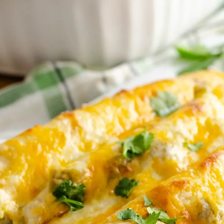 Chicken enchiladas made with a white sauce and chopped cilantro.