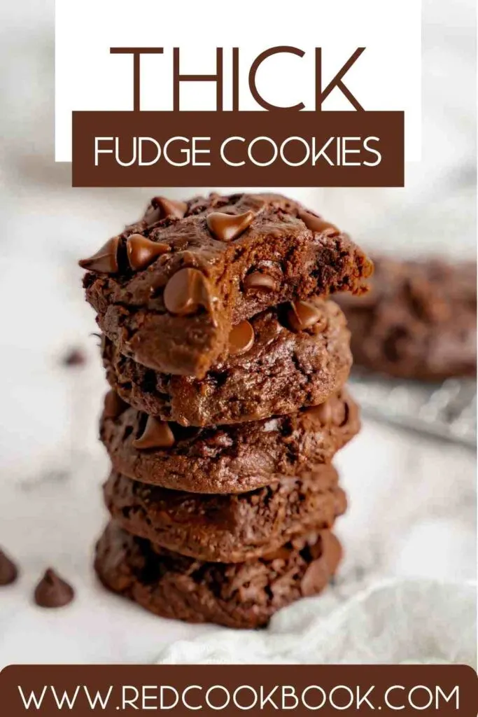 Thick Fudge Cookies
